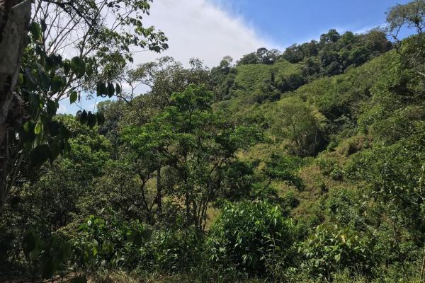 Amplia propiedad de 146.652 ha con fuentes de agua