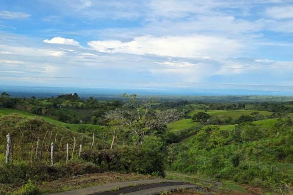 96.10 hectare in boquerón, las monjas