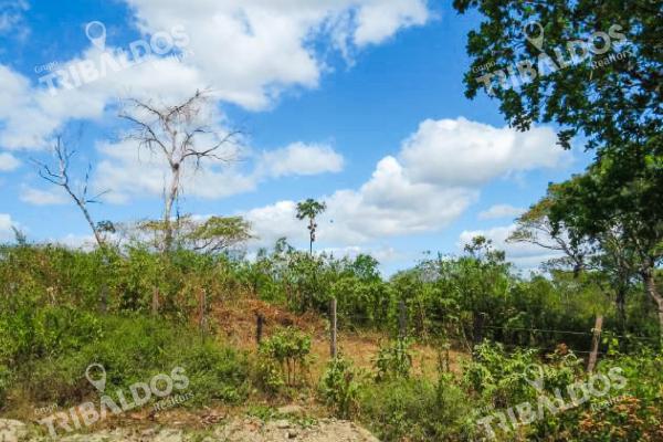 Venta de terreno de 29ha en pacora