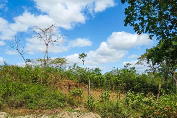 29 ha land for sale in pacora