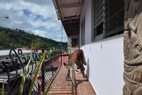 Downtown boquete corner property