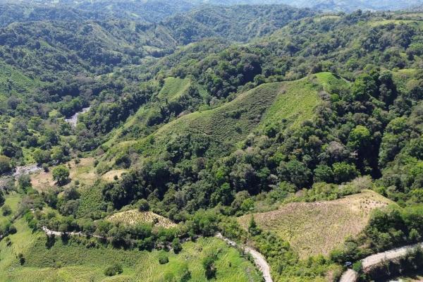 Amplia propiedad de 146.652 ha con fuentes de agua