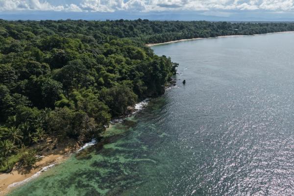 Propiedad boscosa frente al mar de 2,4 hectáreas en drago