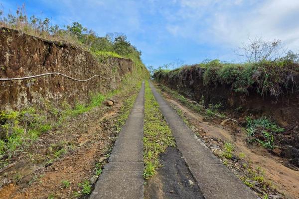 96.10 hectare in boquerón, las monjas