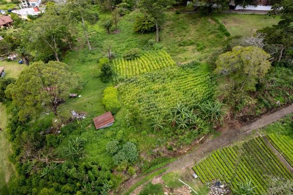 Terreno para desarrollo en el centro de boquete