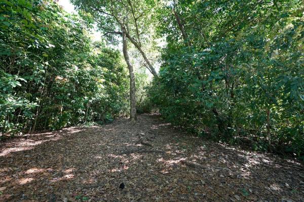 2-hectare beachfront property