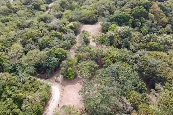 Finca de 4.3 hectareas – proyecto ideal comunidad