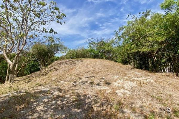4.3 hectares finca – ideal community project