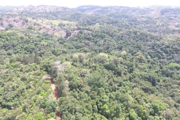 Land for sale in colon, buena vista, el giral