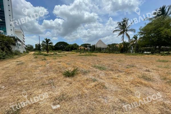 Venta de terreno con acceso al mar en rio hato