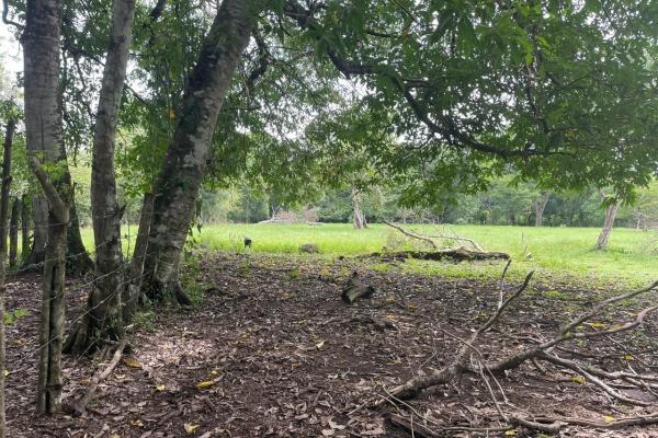 Three plots of land for sale near dolega, boquete