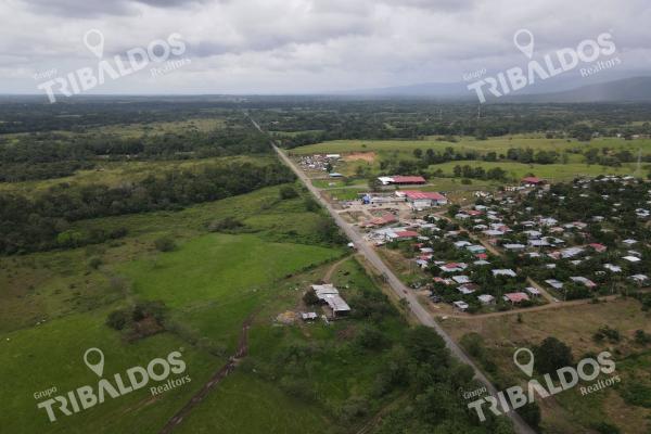 Terreno en chepo