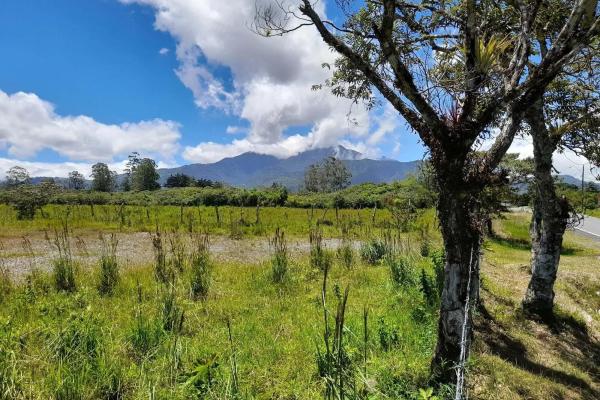 Flat road-front lot for sale in volcan