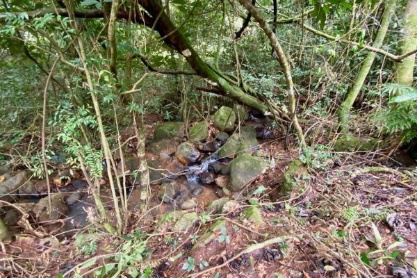 Mountain finca in chica