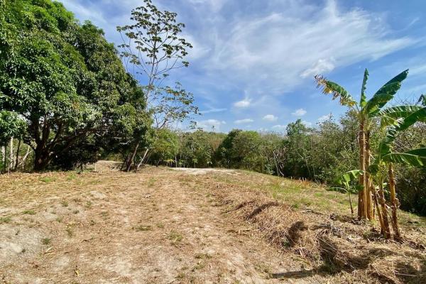 Finca de 4.3 hectareas – proyecto ideal comunidad