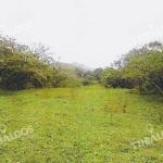 Sale of land in la mesa de el valle de anton