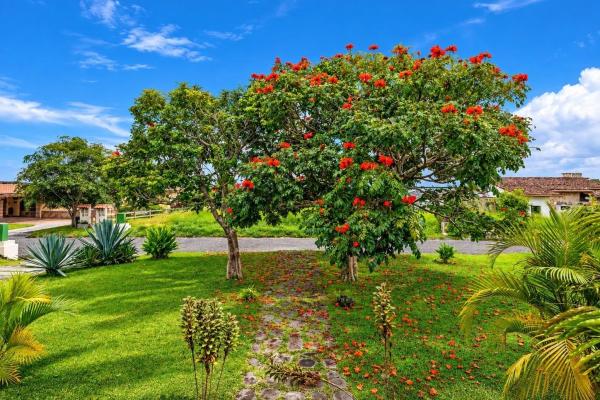 Spacious 3-bedroom home for sale in boquete