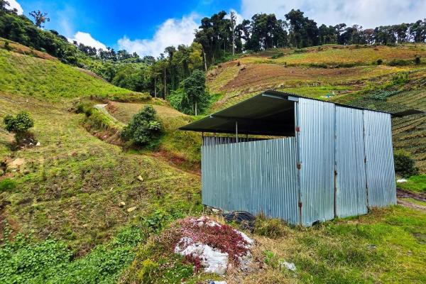 Finca agrícola en venta – cerro punta, chiriquí