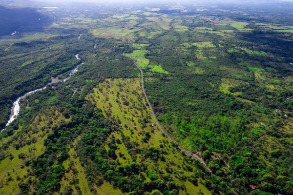 10 hectares for sale in caldera boquete