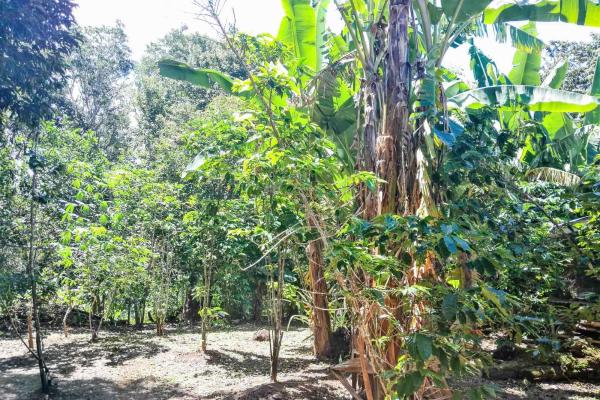 Cozy home for sale in palmira, boquete chiriqui
