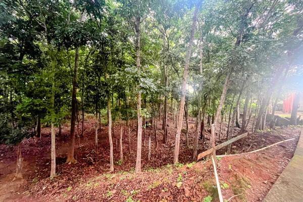 Land for sale in santa clara - beach