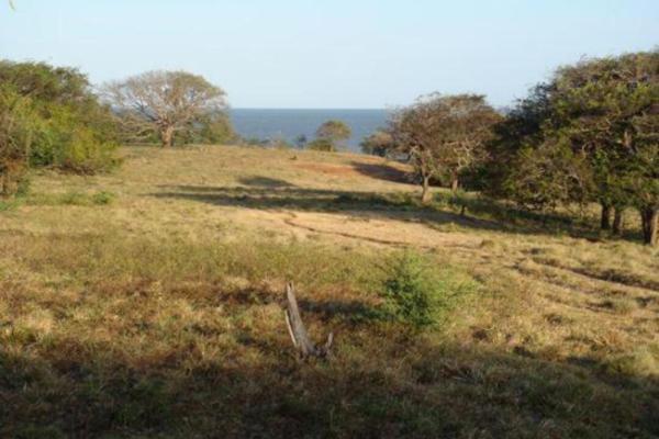 Incredible beachfront farm for sale