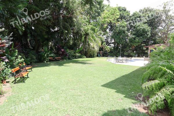 Alquiler de casa en altos del golf