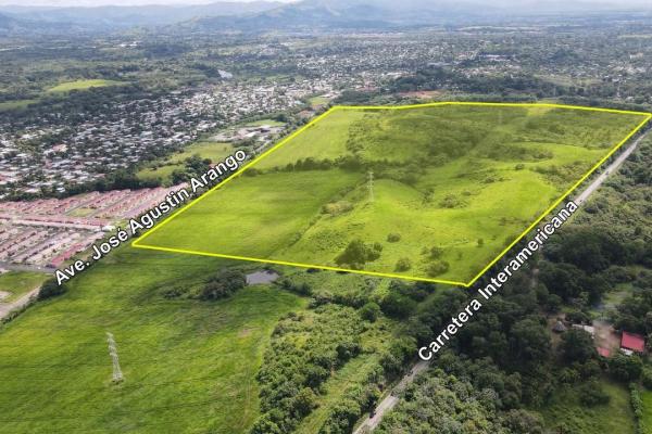 42 hectare land for sale in pacora