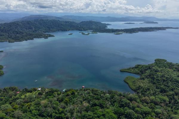 Retiro de finca de cacao de 14 hectáreas en tierra oscura