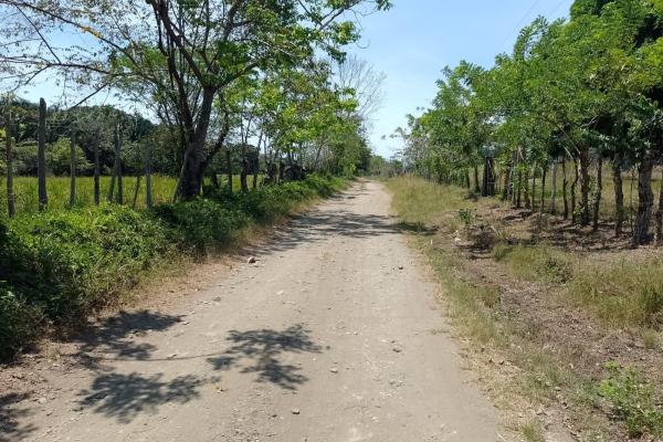 Land 172 acres in puerto armuelles, limones io