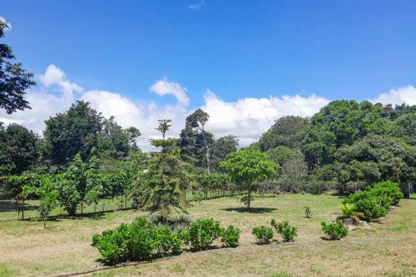 Cozy home for sale in palmira, boquete chiriqui