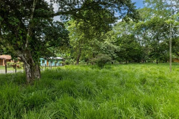 Se vende 2.02 hectareas planas en las lajas chiriqui