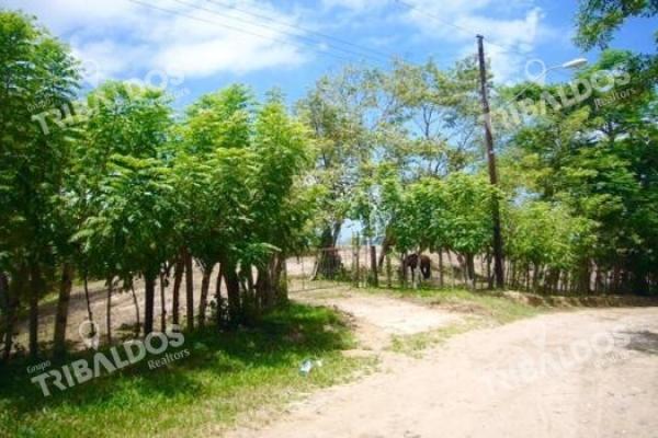 Playa las uvas