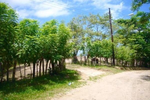 Playa las uvas