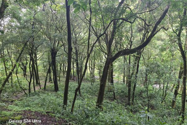 Terreno de 6,9 ha junto a boquete country club — venta de globo entero