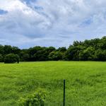Venta terrenos el espino san carlos