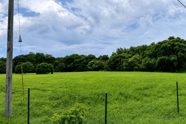 Land for sale in el espino, san carlos