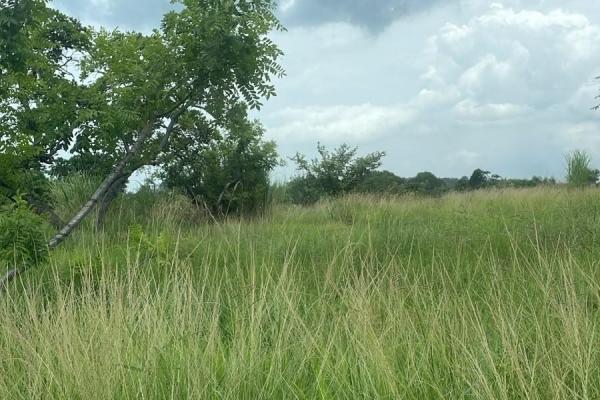 Terreno 5.4 ha en coloncito de nueva gorgona.