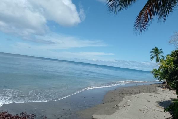 Land 172 acres in puerto armuelles, limones io