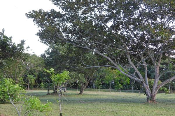 Finca campestre con múltiples edificaciones en palmira