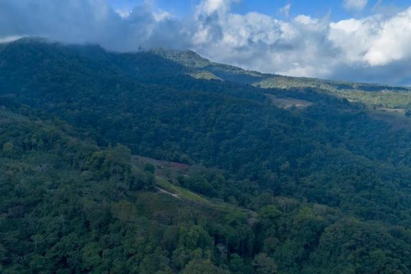22 hectares with creek and mountain views