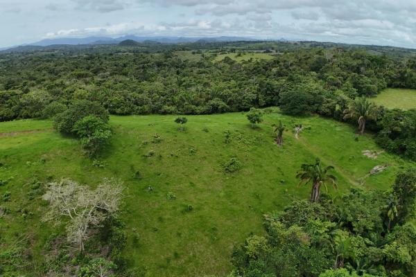 Se vende terreno para desarrollo residencial en el trapichito, la chorrera