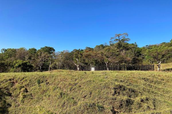 Cattle farm or private retreat