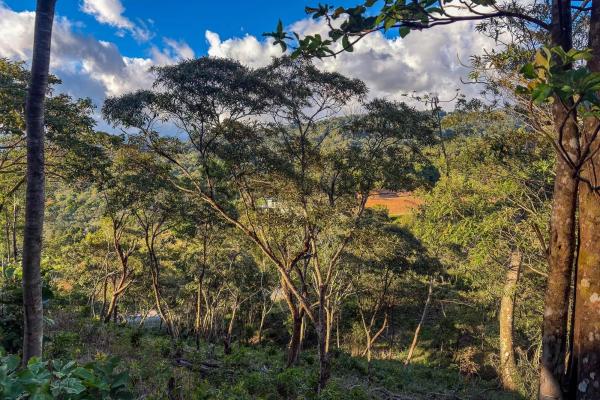 Mountain view lot for sale in jaramillo, boquete