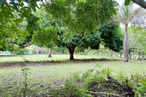Venta de terreno en gorgona