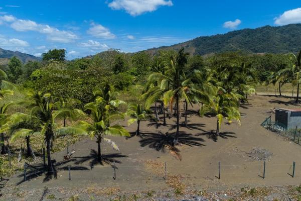 Se vende terreno titulado frente a la playa en cambutal