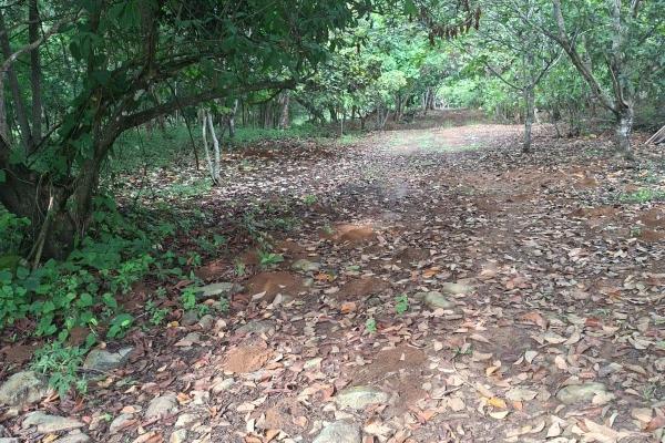 Excelente terreno con mejoras vía el valle