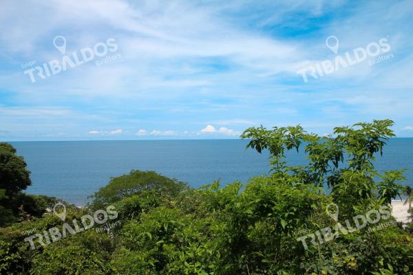 Terreno frente al mar en venta en río hato | 18 hectáreas | us$38/m²