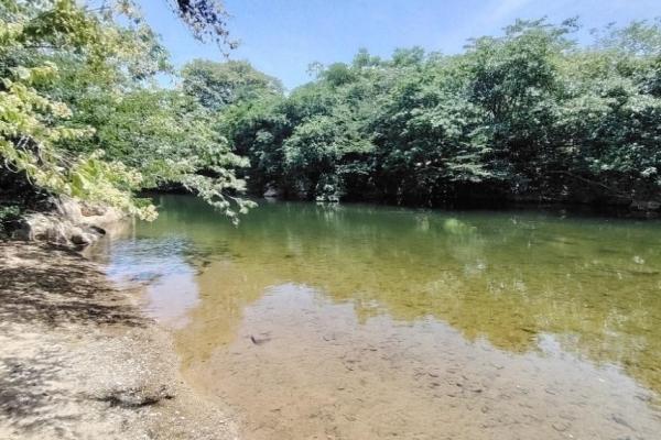 Granja de 13.6 ha con casa, galeras y río en natá, coclé