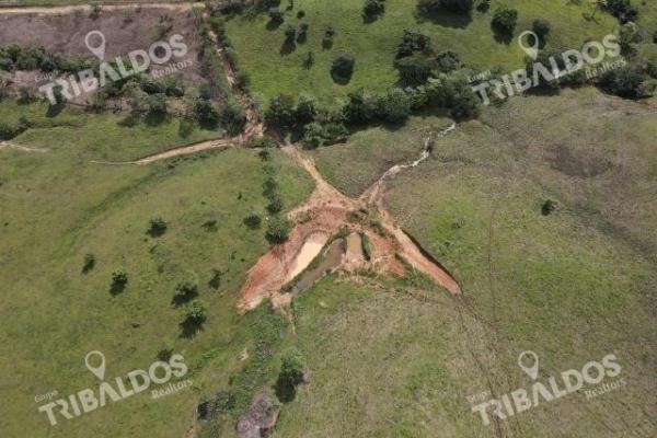 Se vende finca ganadera en margarita de chepo